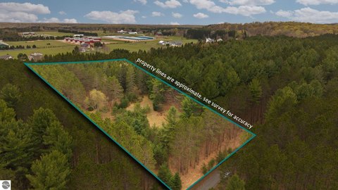 Leelanau County Wooded Parcel