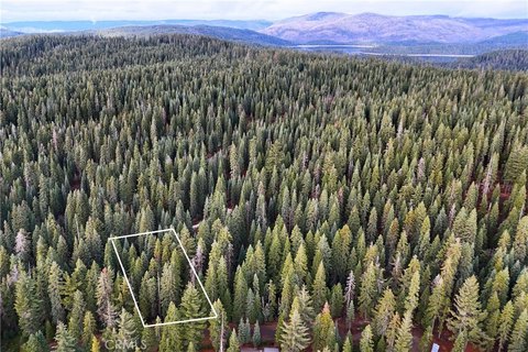 Wooded Homesite in Bucks Highlands