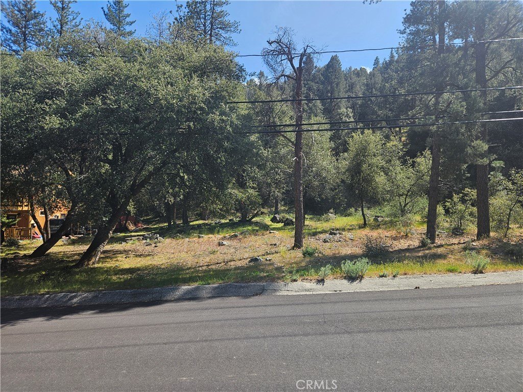 Buildable Lot Near Village Center