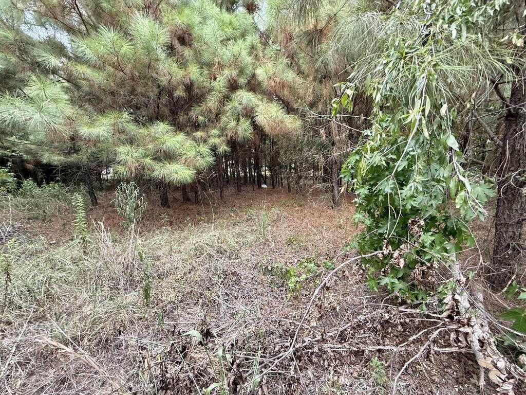 Picture 2