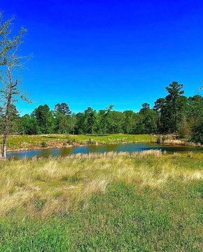 Unrestricted Acreage Near Lake Fork