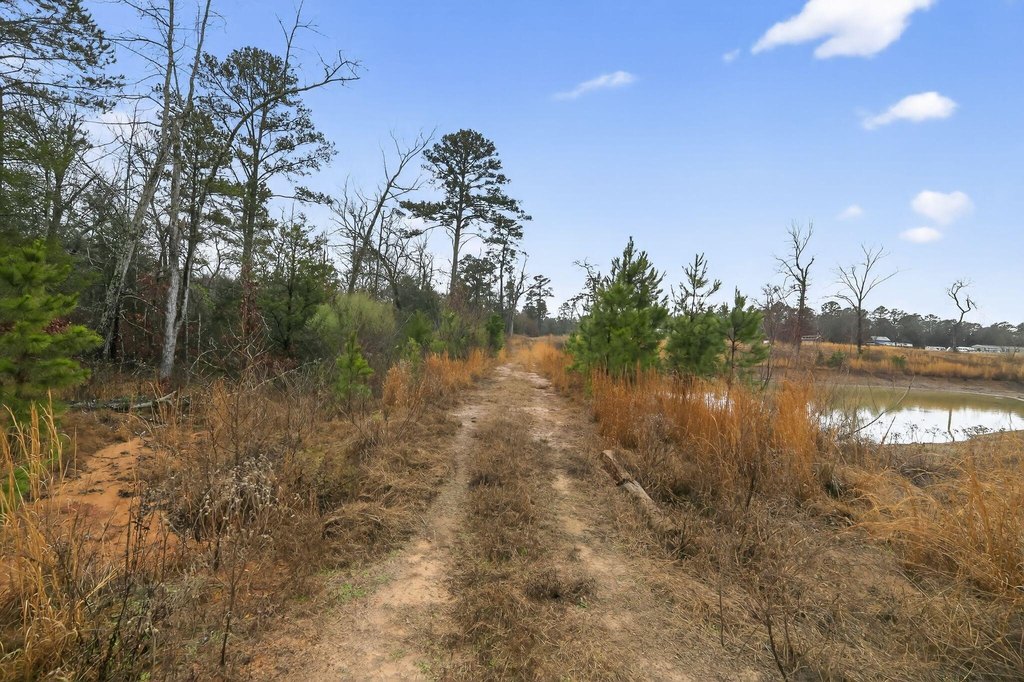 Picture 20
