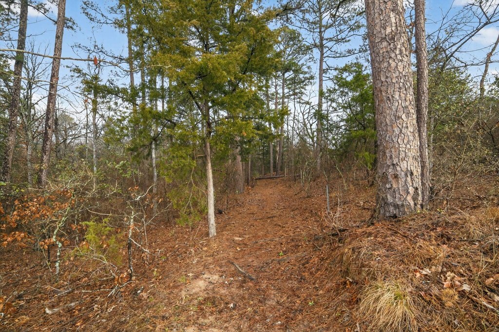 Picture 18