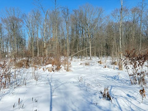 Hunting and Recreation Land Tract