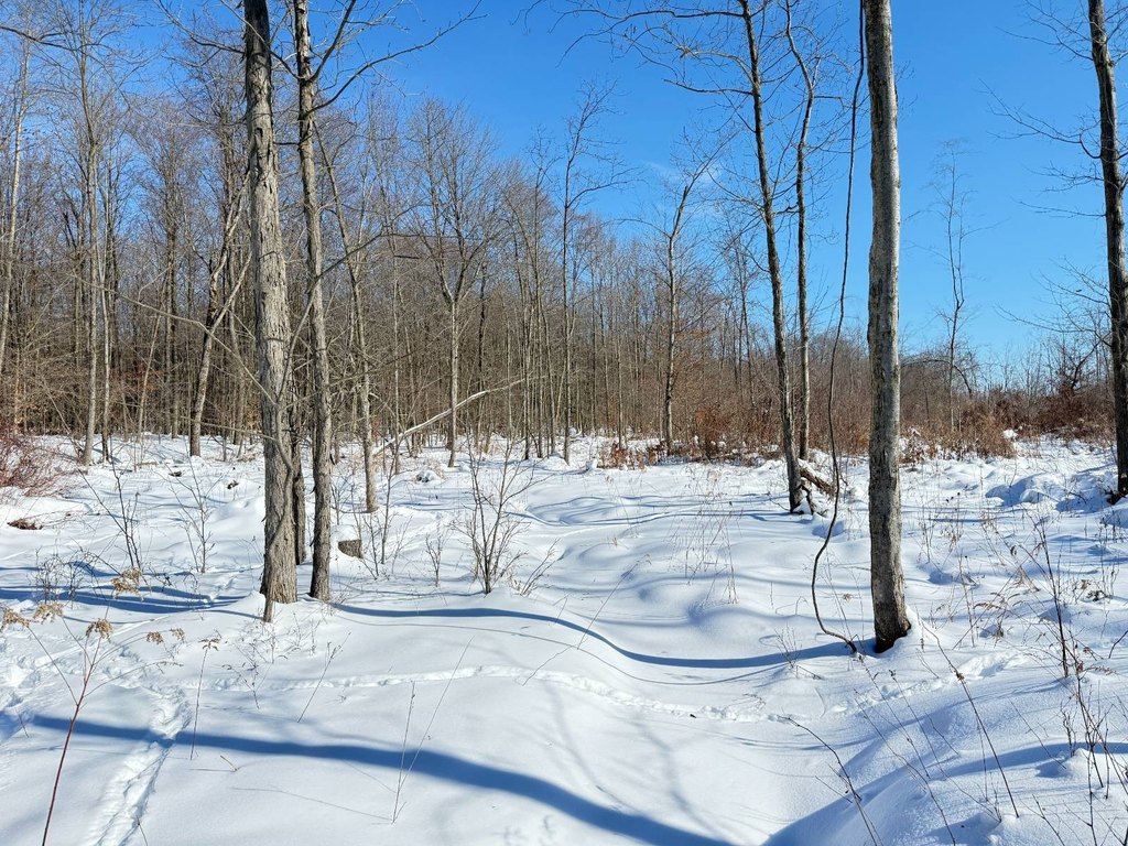 Picture 27
