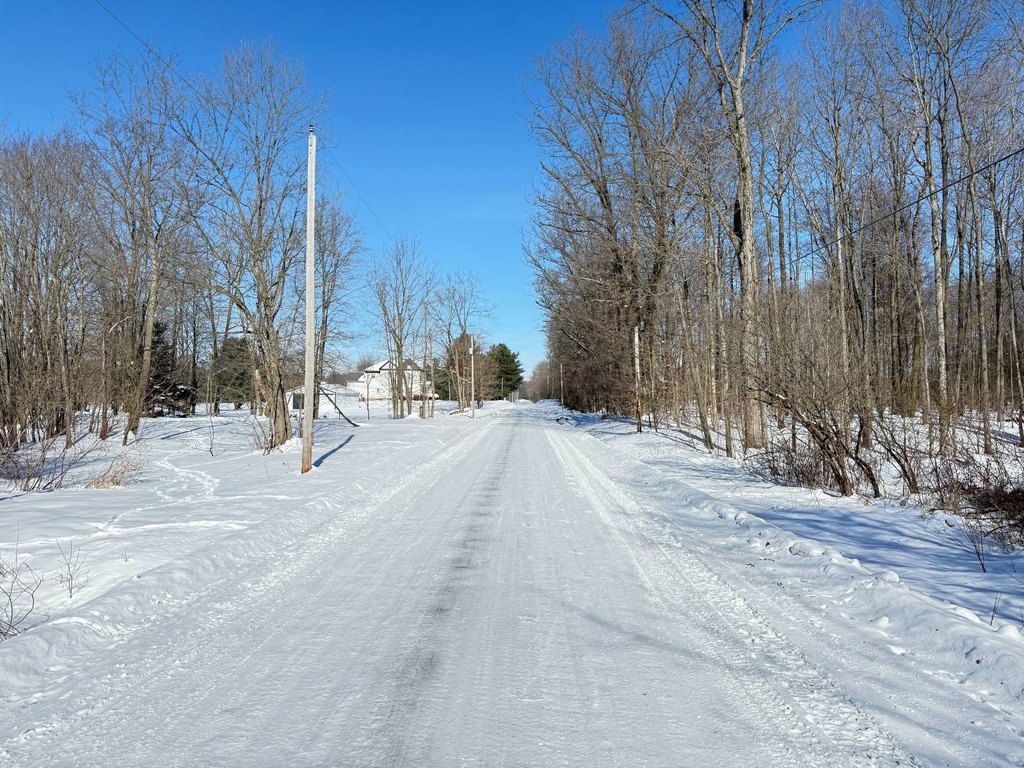 Picture 29