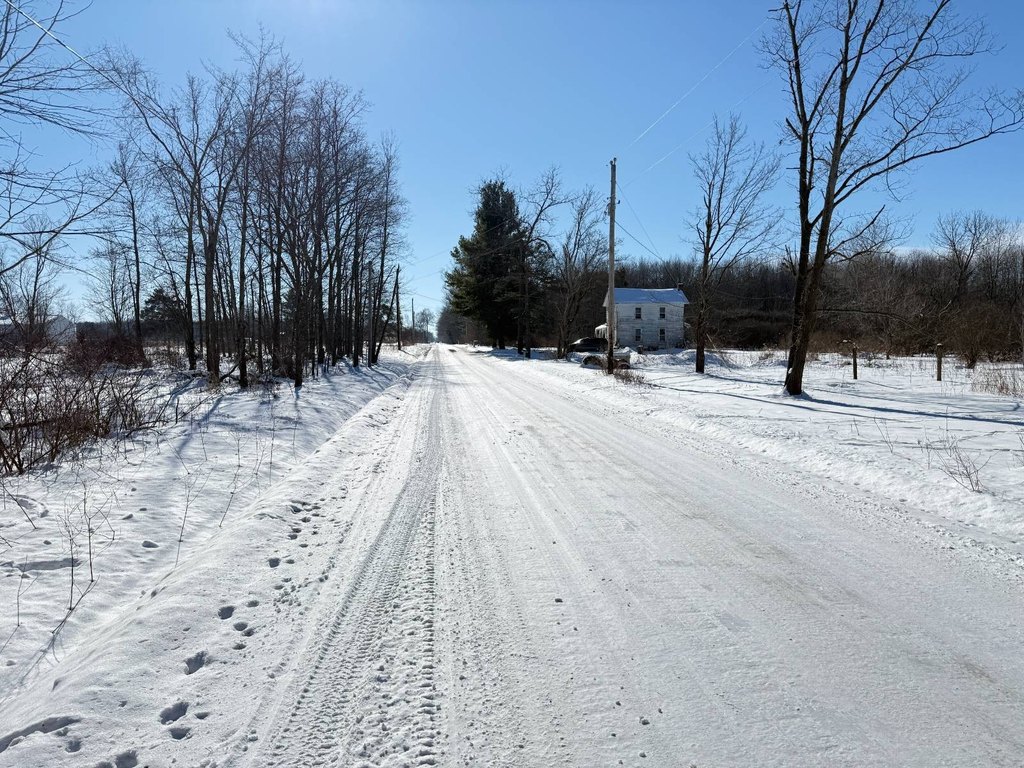 Picture 28