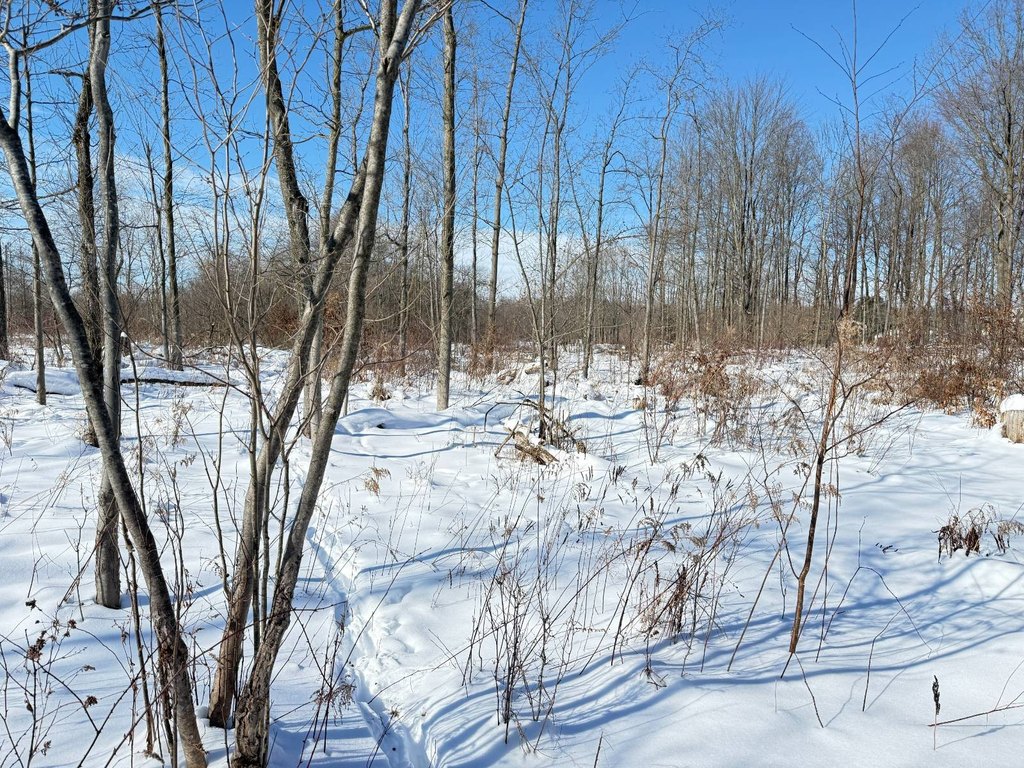 Picture 23