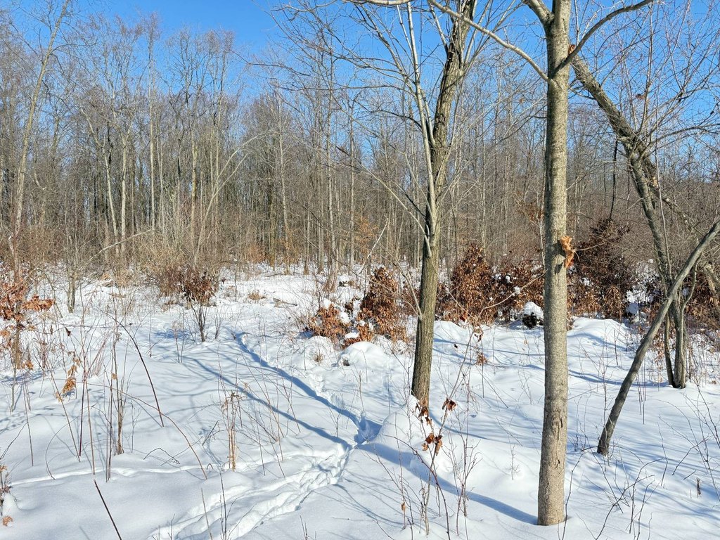 Picture 22