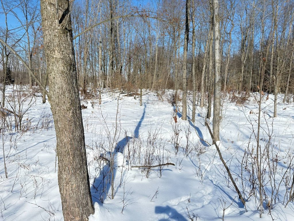 Picture 26