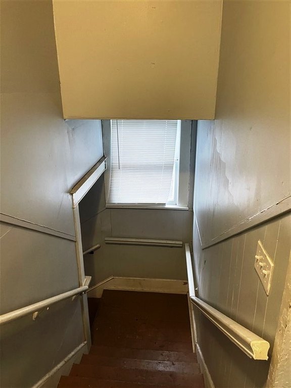 Picture 29
