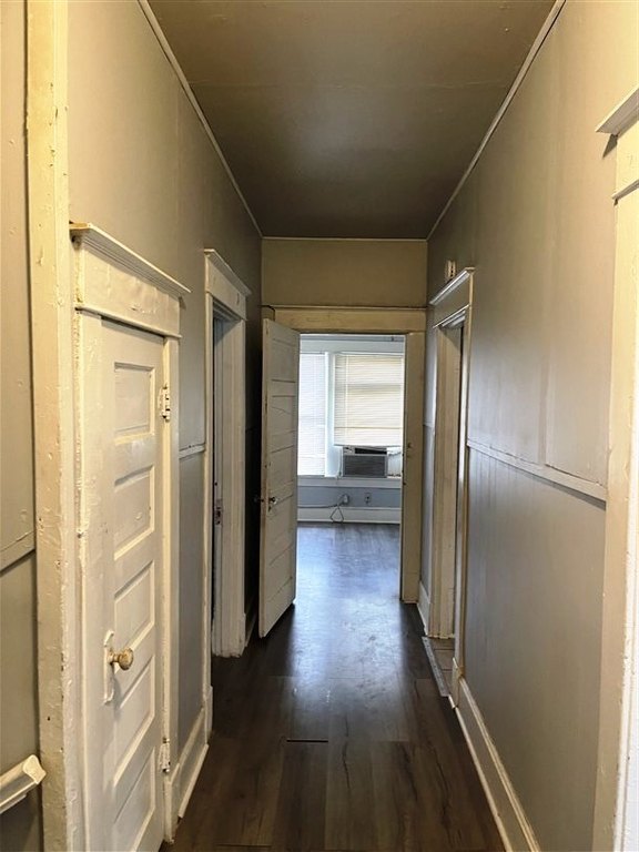 Picture 31
