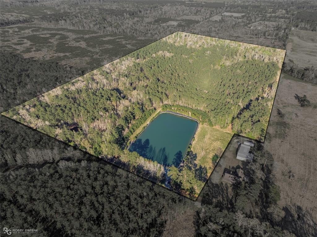 56 Acres of Unimproved Land