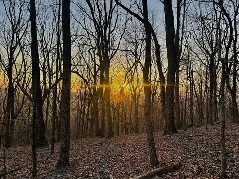 Mountain View Estate Lot