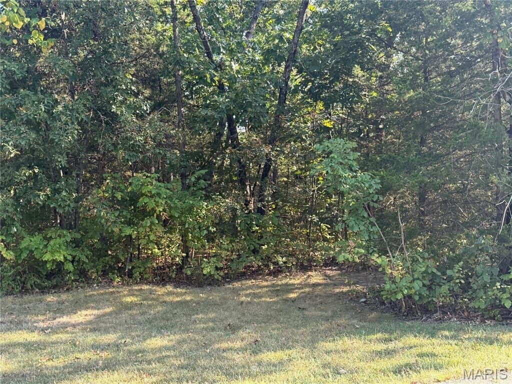 Picture 2