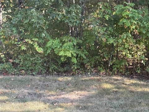 Land, Bonne Terre, MO