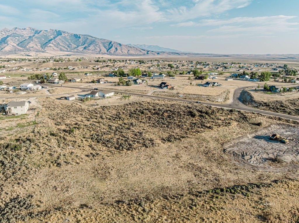 Picture 4