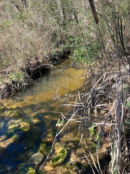 Land on Schillinger Road