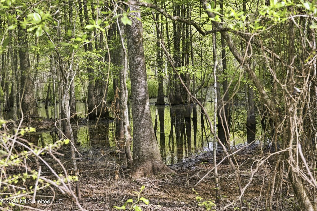 Picture 48