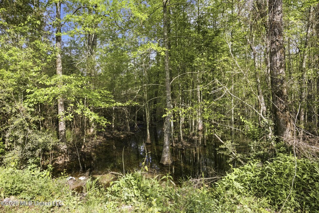 Picture 47