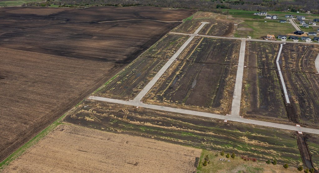 Picture 4