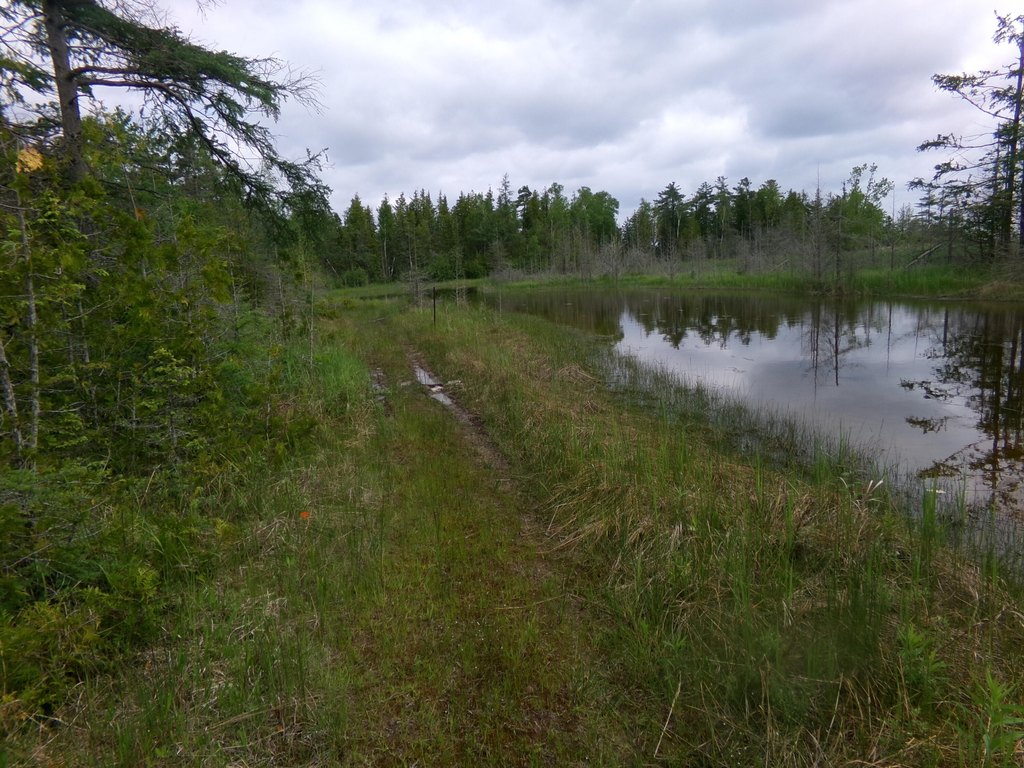 Picture 12