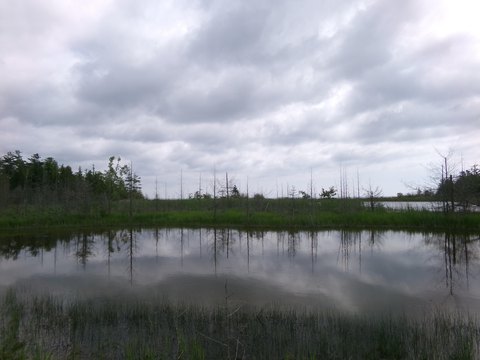 LAND - Alpena, MI