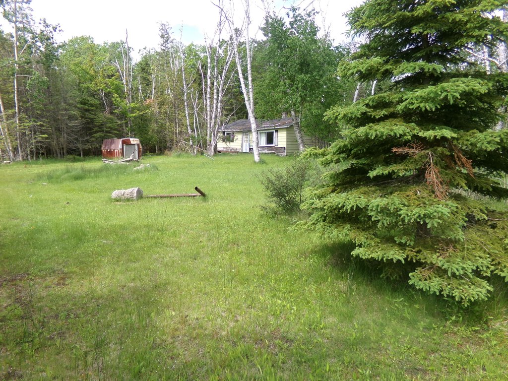 Picture 15