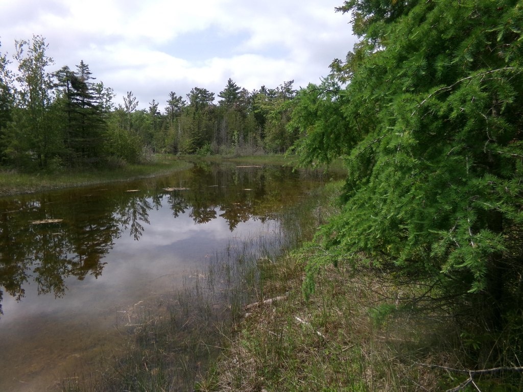 Picture 13
