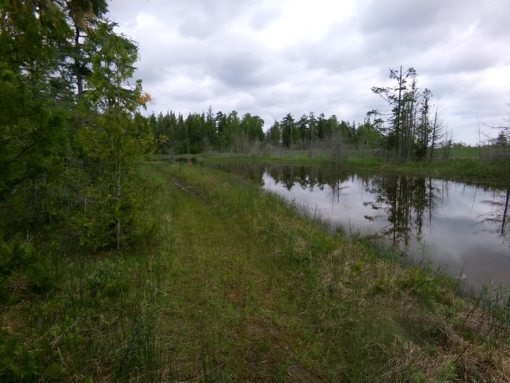 Picture 8
