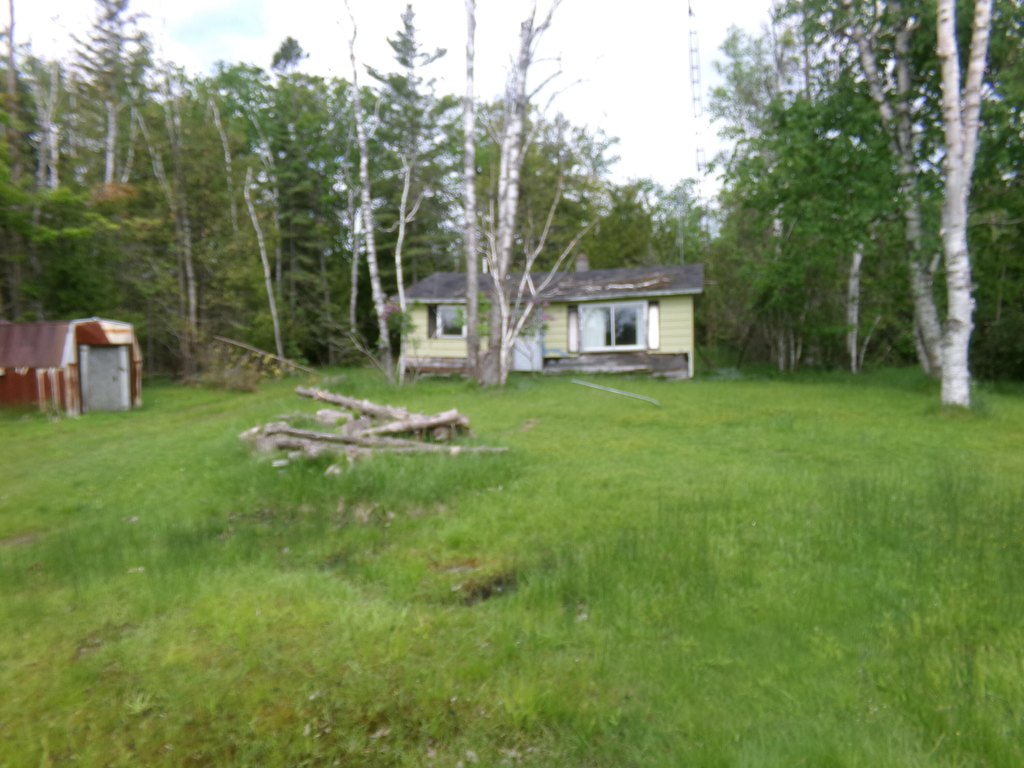 Picture 5