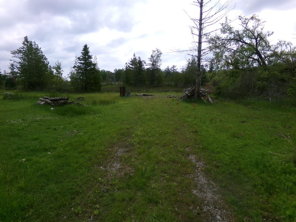 Picture 19