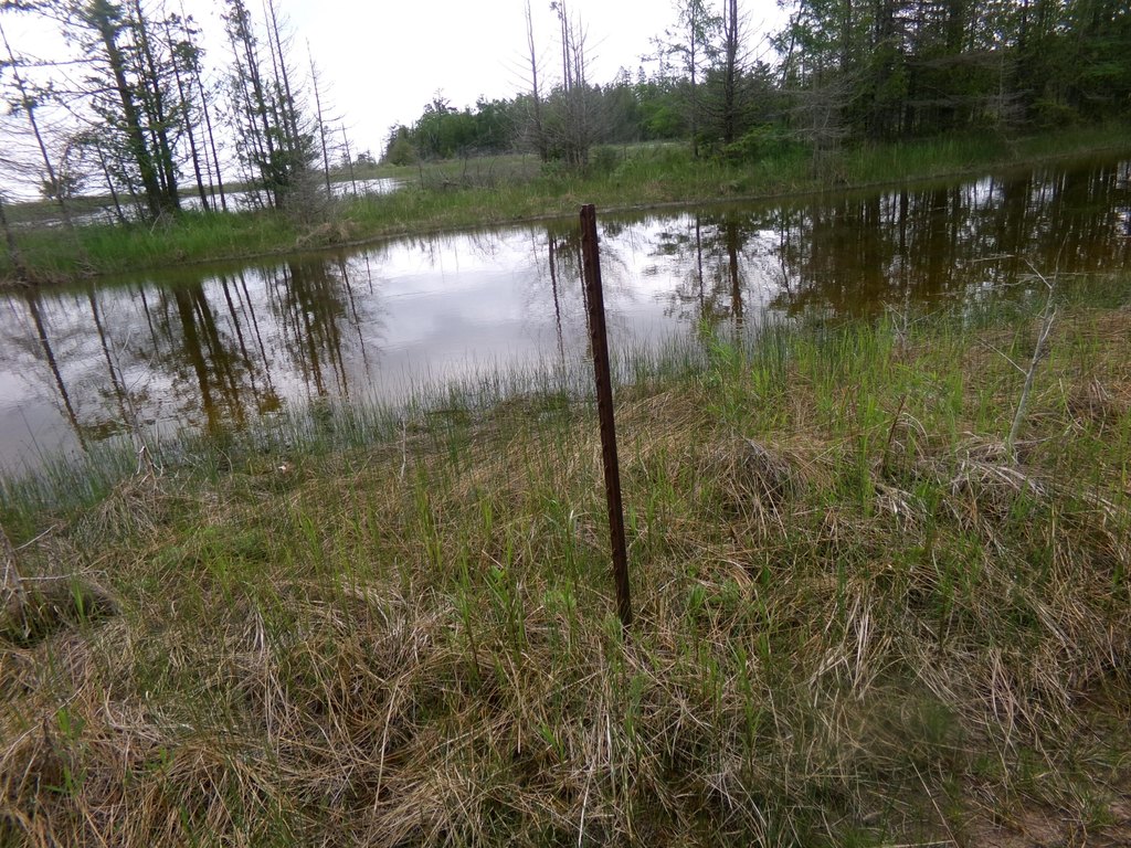 Picture 11