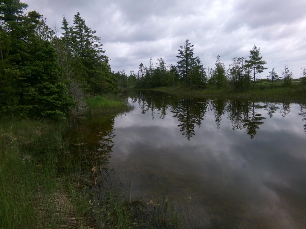 Picture 6
