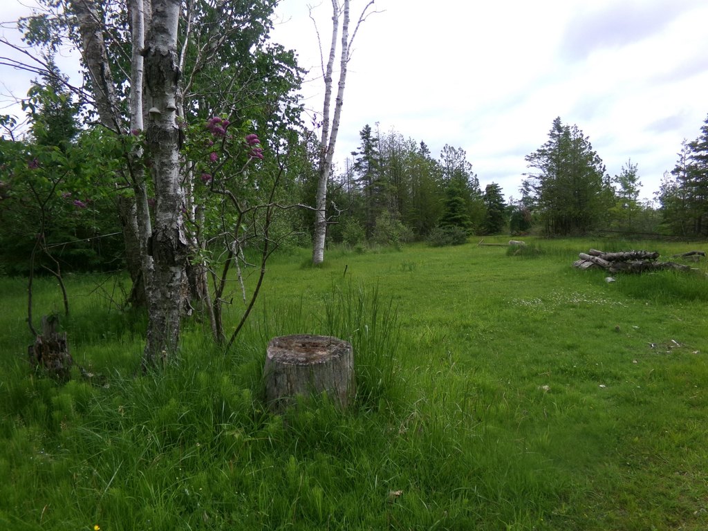 Picture 17