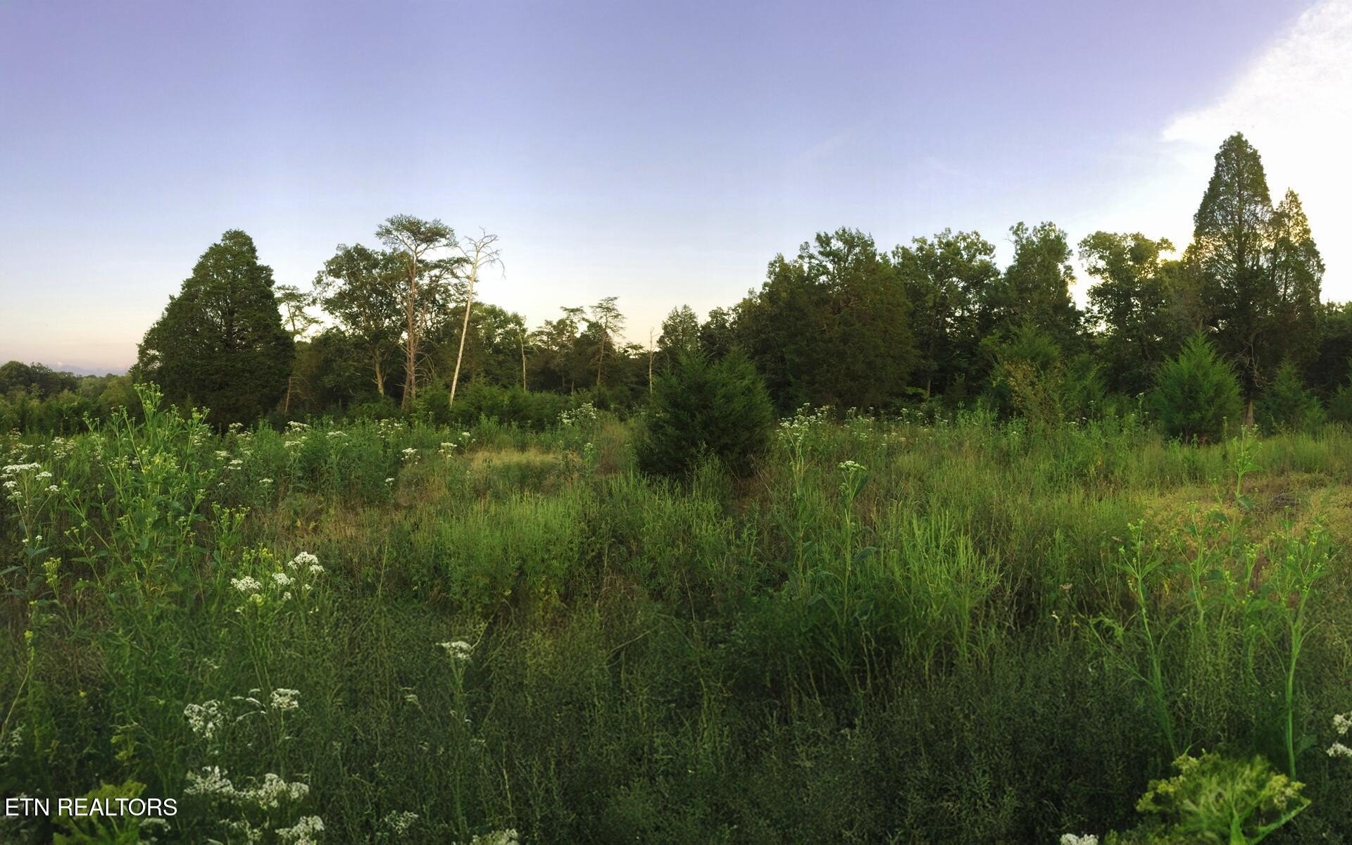 East Tennessee Land Parcel