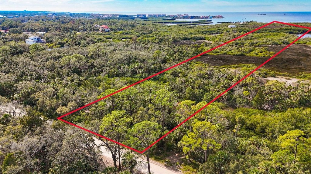 Picture 11