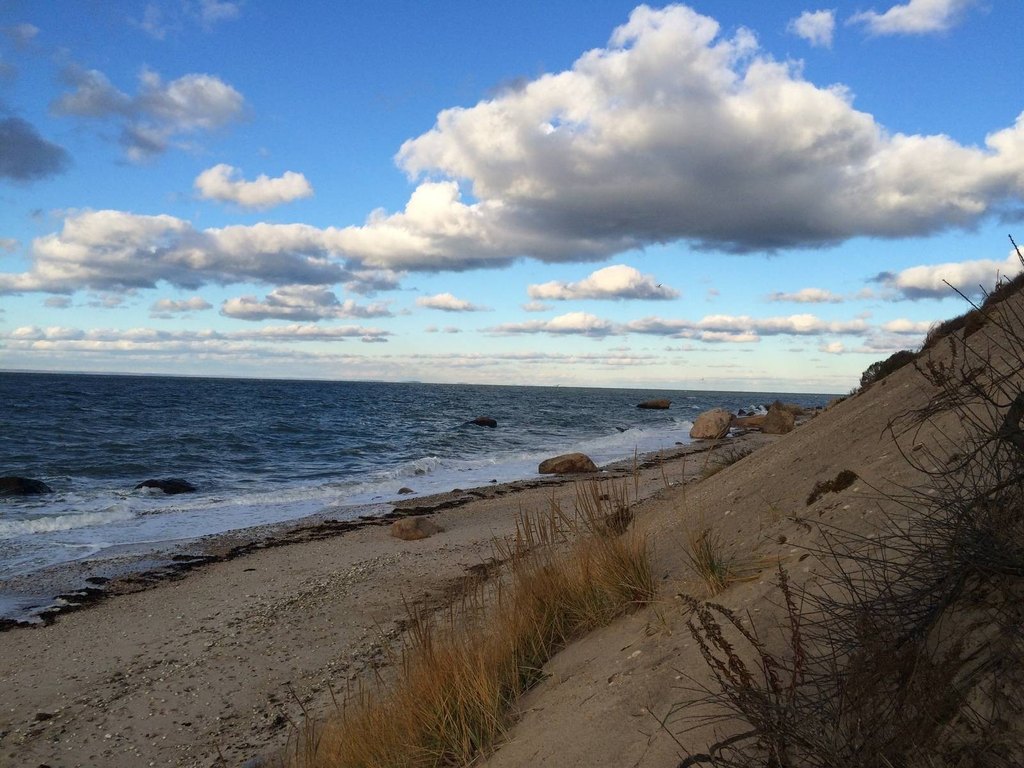 Picture 10