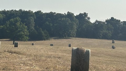 Vacant Land, Ash Flat, AR