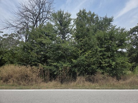 LAND - Branson West, MO