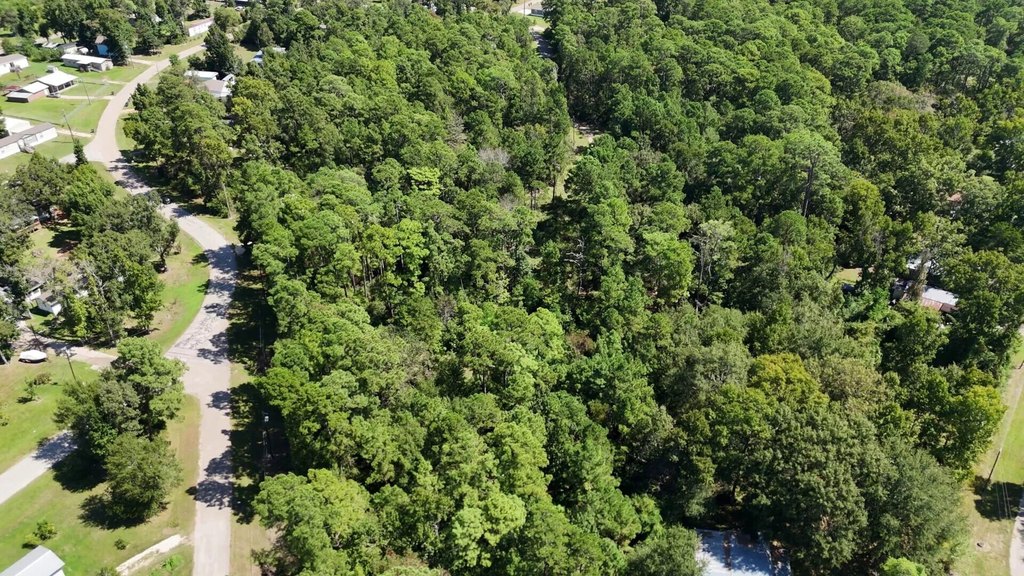 Picture 21