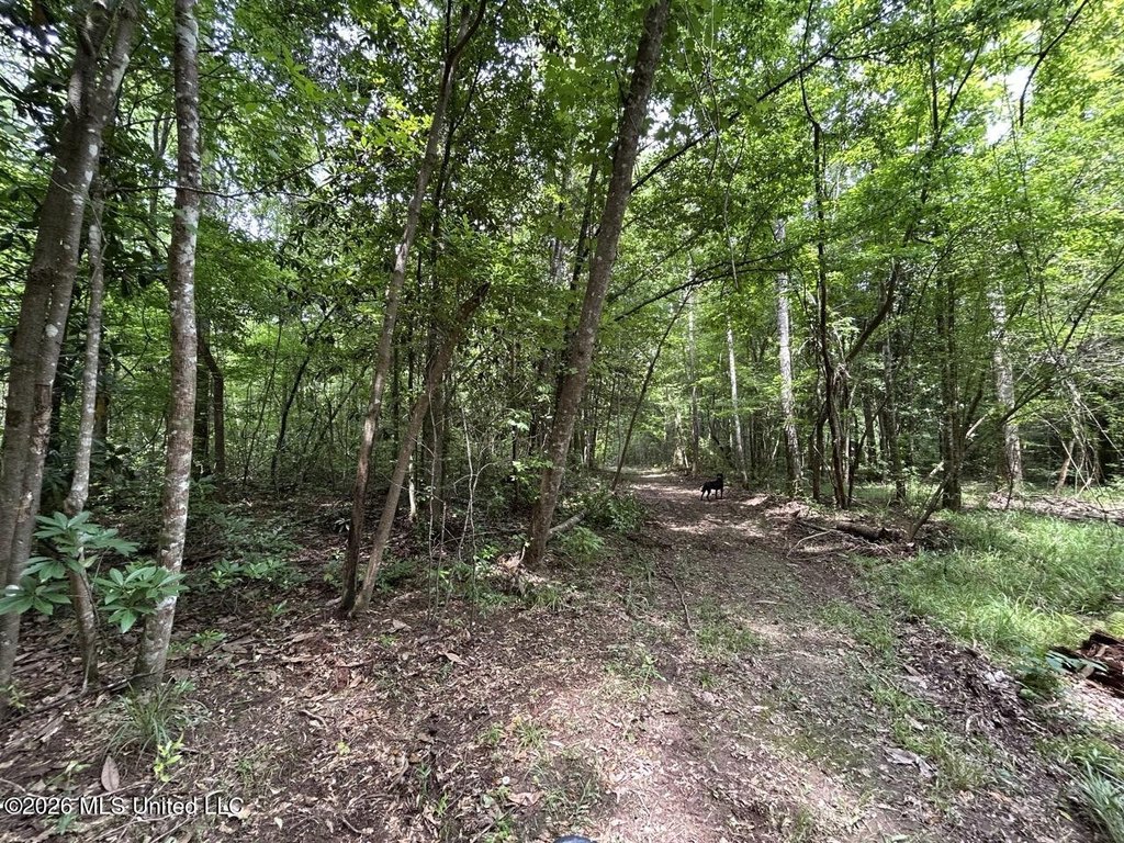 Picture 21