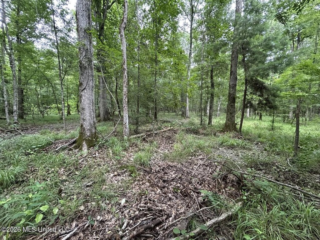Picture 31