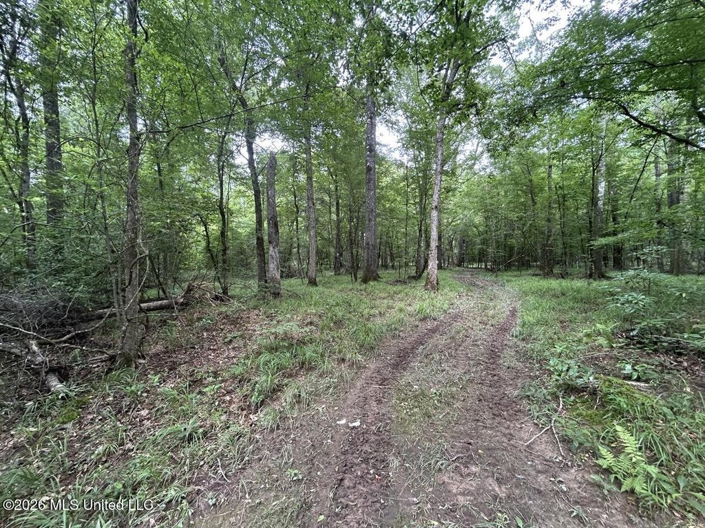 Picture 23