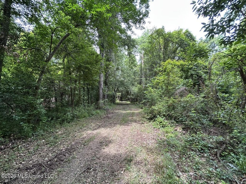 Picture 12