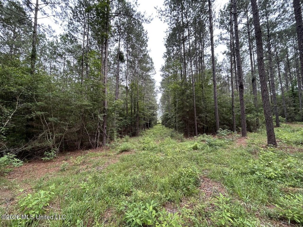 Picture 41