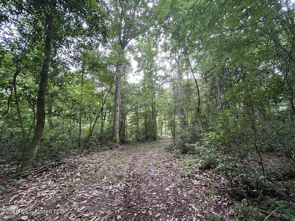 Picture 29