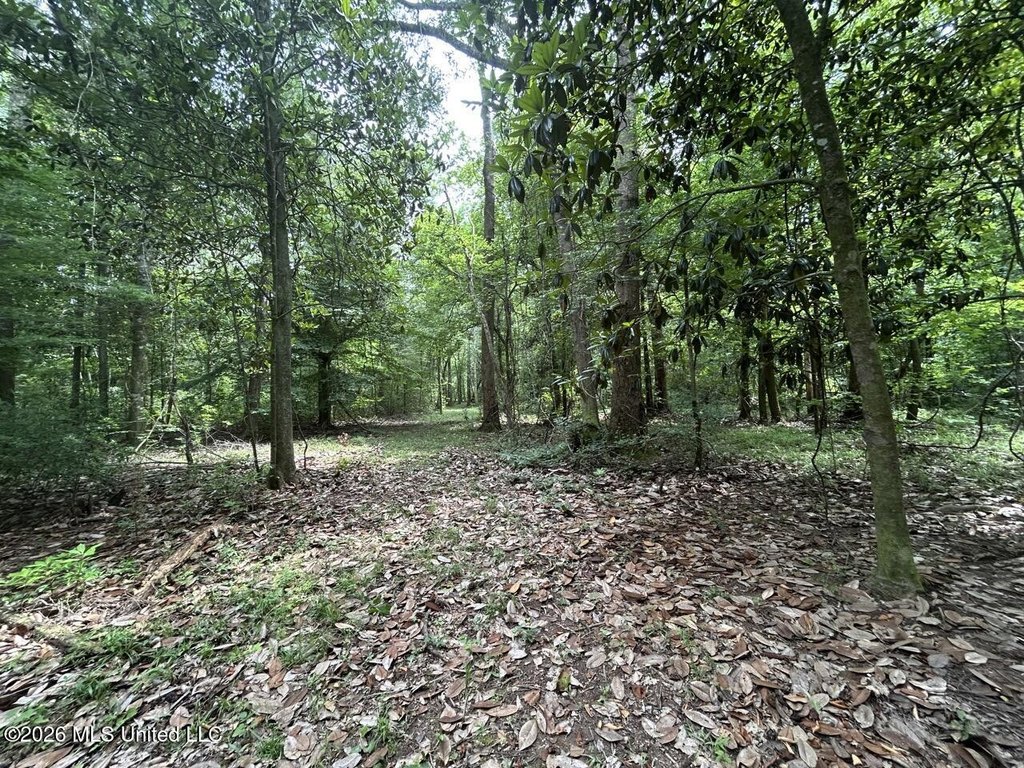 Picture 25