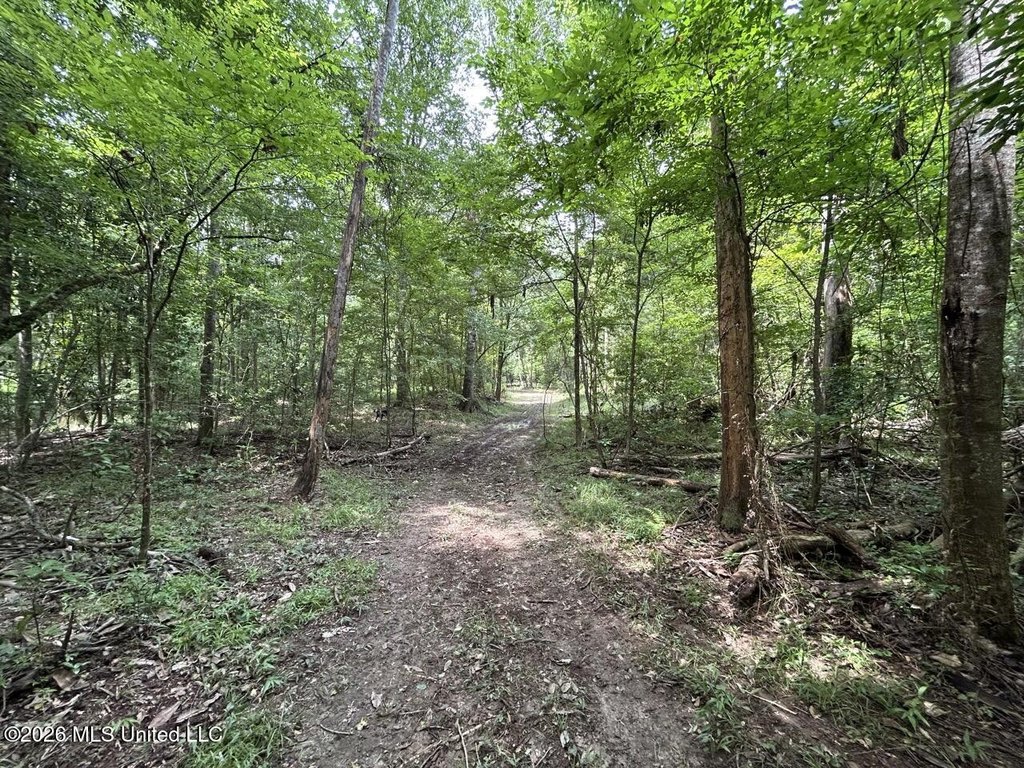 Picture 19