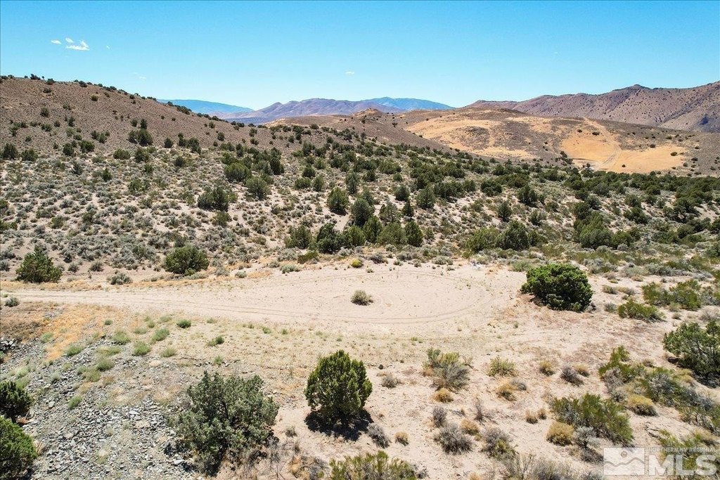Picture 24